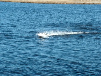 Enlarge photo 505