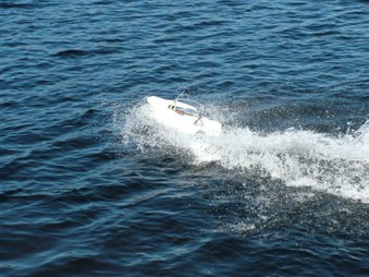 Enlarge photo 507