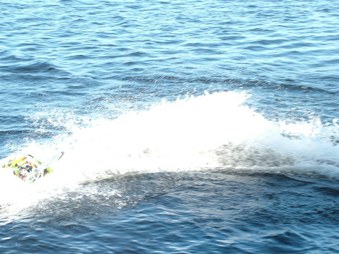 Enlarge photo 512