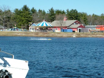 Enlarge photo 516