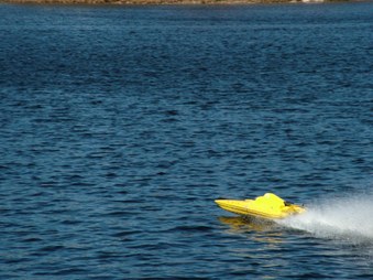 Enlarge photo 523