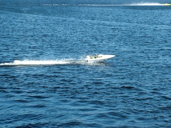 Enlarge photo 532