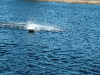 Enlarge photo 534