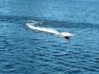 Enlarge photo 535