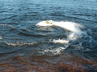Enlarge photo 547