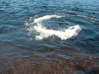 Enlarge photo 548