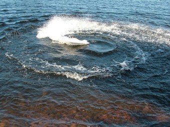 Enlarge photo 552