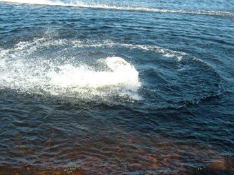 Enlarge photo 554