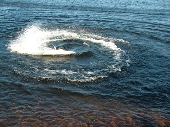 Enlarge photo 555