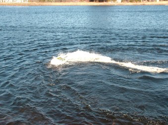 Enlarge photo 557