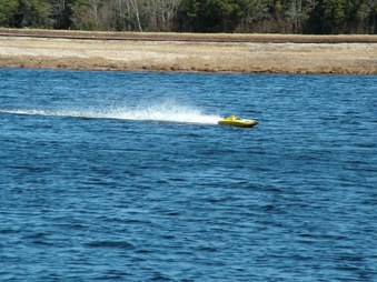 Enlarge photo 561