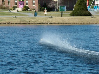 Enlarge photo 566