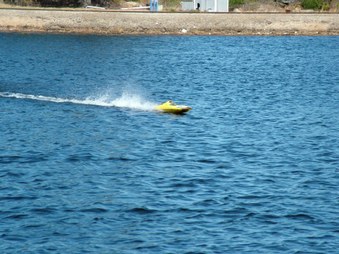 Enlarge photo 575