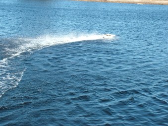 Enlarge photo 582