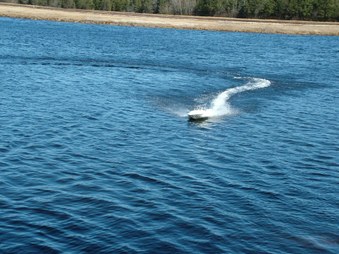 Enlarge photo 585