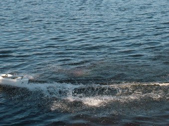 Enlarge photo 587