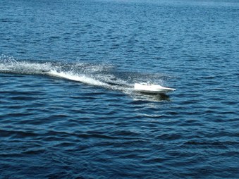 Enlarge photo 589