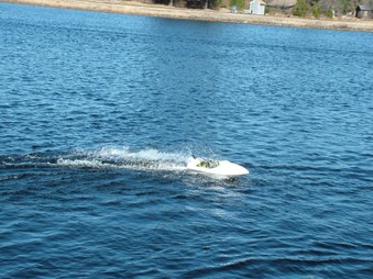 Enlarge photo 590