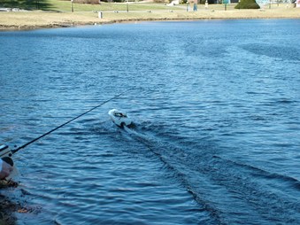 Enlarge photo 594