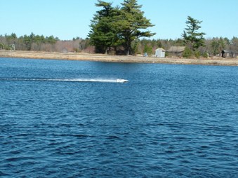 Enlarge photo 599