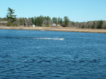 Enlarge photo 600
