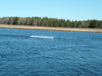 Enlarge photo 601