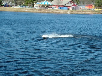 Enlarge photo 608
