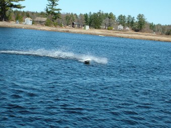 Enlarge photo 617