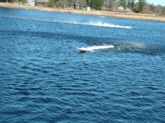 Enlarge photo 618