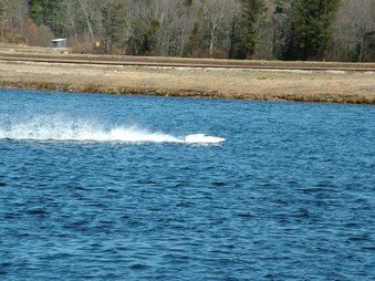 Enlarge photo 628