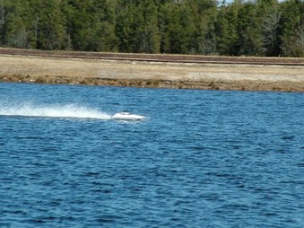 Enlarge photo 629