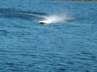 Enlarge photo 631