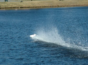 Enlarge photo 635