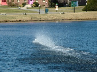 Enlarge photo 636