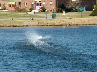 Enlarge photo 637