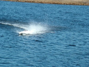 Enlarge photo 646