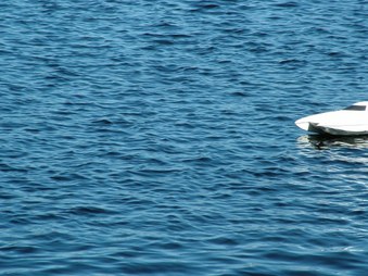 Enlarge photo 647