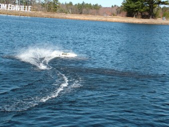 Enlarge photo 653