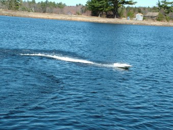 Enlarge photo 654