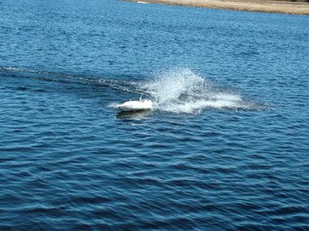 Enlarge photo 655