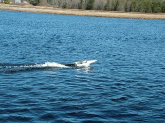 Enlarge photo 664