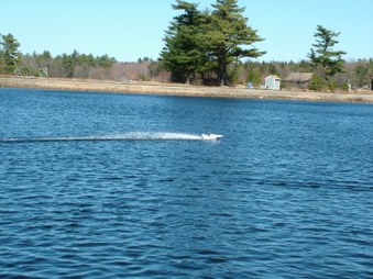 Enlarge photo 670
