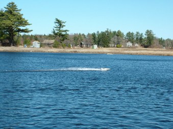 Enlarge photo 671