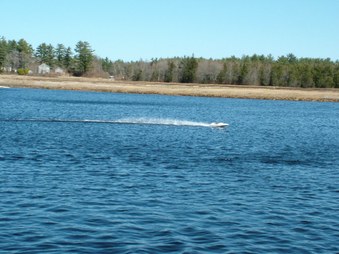 Enlarge photo 672