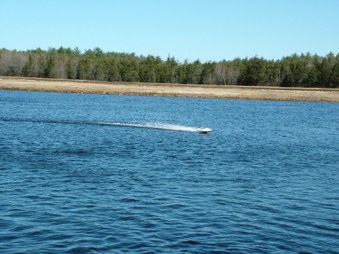 Enlarge photo 673