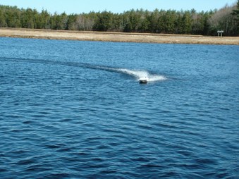 Enlarge photo 674