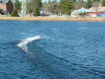 Enlarge photo 678