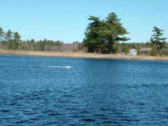 Enlarge photo 681