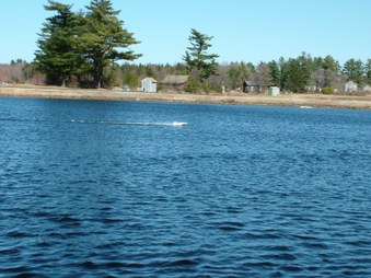 Enlarge photo 682