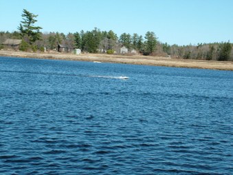 Enlarge photo 683